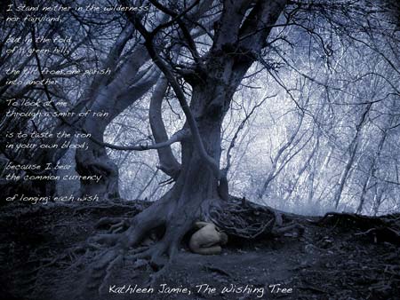 The wishing tree, Kathleen Jamie